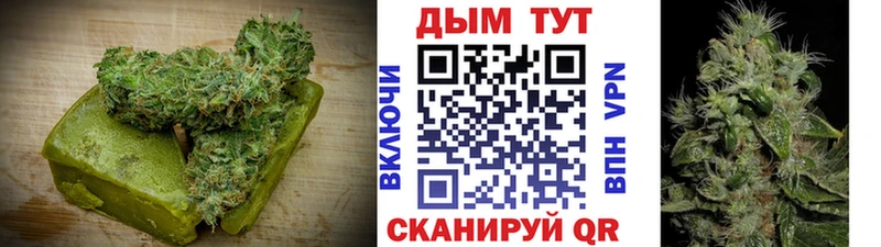 KRAKEN ТОР  где купить наркоту  Светлогорск  Печенье с ТГК конопля 