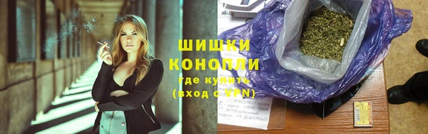 МДПВ Елизово