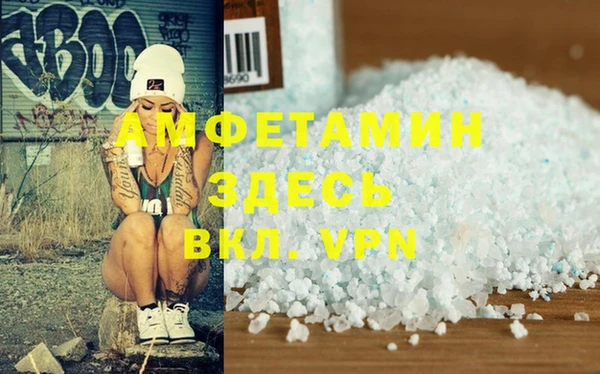 прущие грибы Заволжск