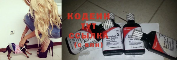прущие грибы Заволжск