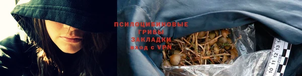 МДПВ Елизово