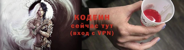 МДПВ Елизово