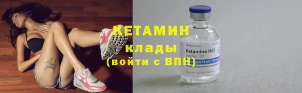 твердый Заводоуковск