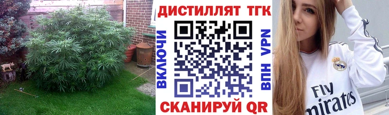 купить закладку Светлогорск Дистиллят ТГК гашишное масло