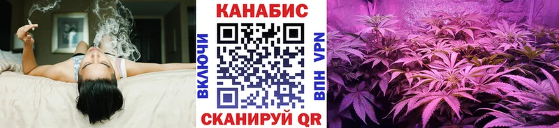 Конопля SATIVA & INDICA Светлогорск
